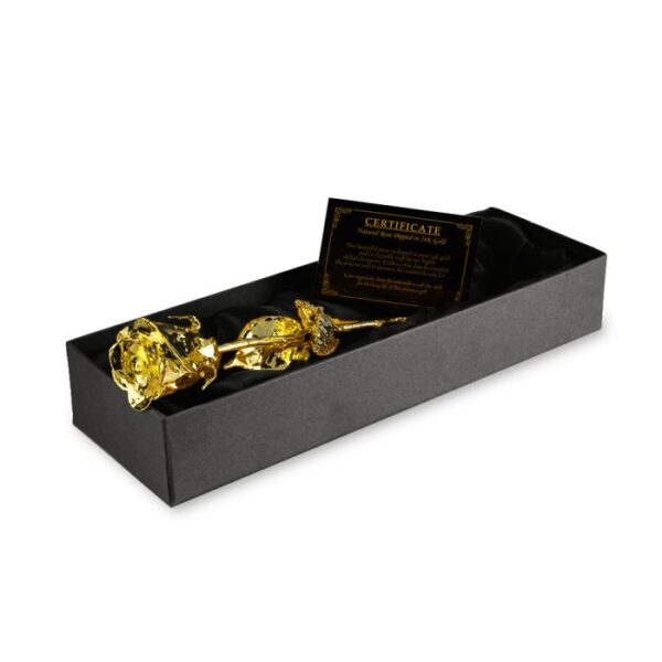 24K Golden Rose - Bilde 6