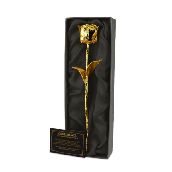24K Golden Rose - Bilde 5