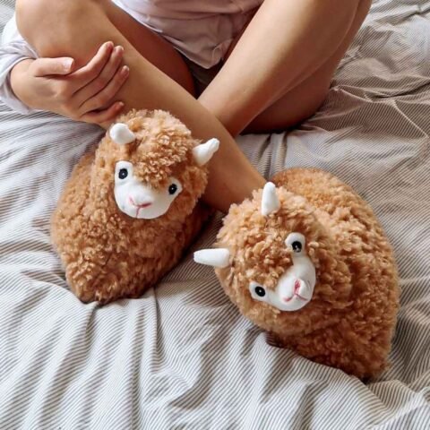 Alpaca Slippers