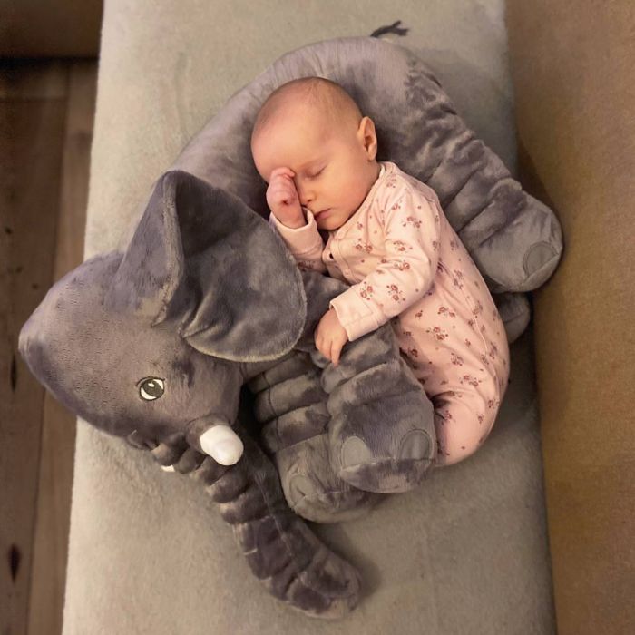 elephant-pillow