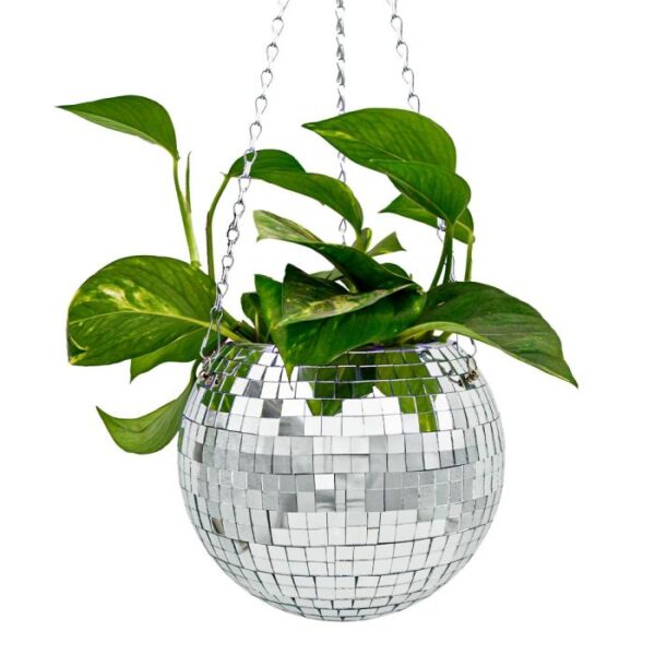 Funky Disco Planter - Bilde 4
