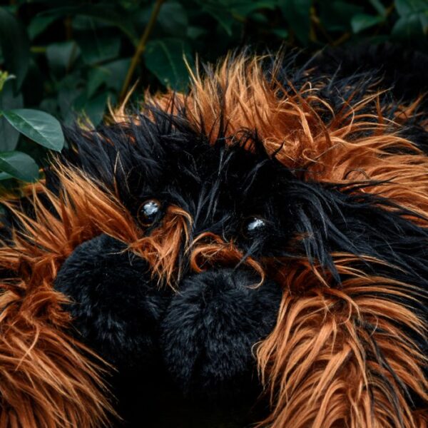 Giant tarantula plush - Bilde 3