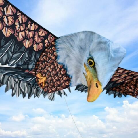3D Eagle Kite