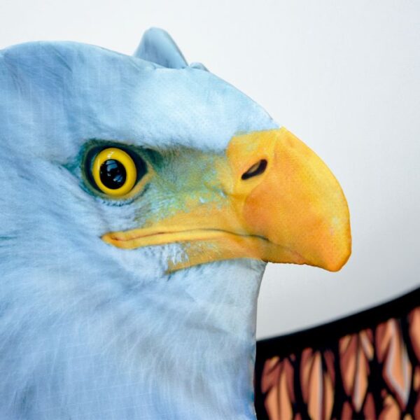 3D Eagle Kite - Bilde 3