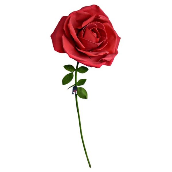XXL Rose - Bilde 2