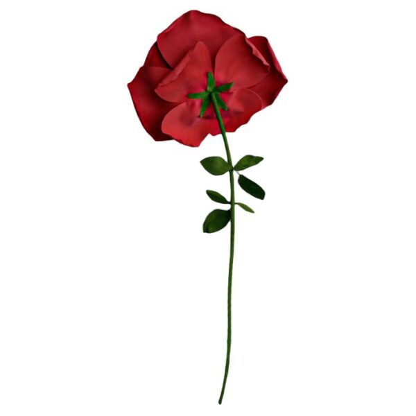 XXL Rose - Bilde 3